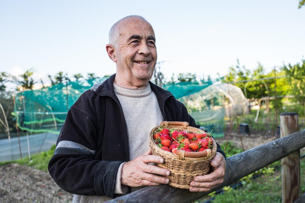 Cascina Arcangelo Raffaele Verduno エクステリア 写真